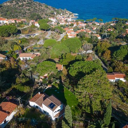 Villa Caterina Quiete E Mare-Goelba SantʼAndrea Zewnętrze zdjęcie